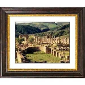  Abby Ruins Copper Bronze Frame Giclee 24 7/8 Wide Wall 