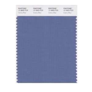  PANTONE SMART 17 3923X Color Swatch Card, Colony Blue 