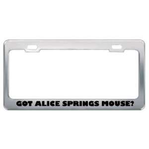Got Alice Springs Mouse? Animals Pets Metal License Plate Frame Holder 