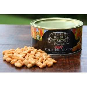 Belmont Peanuts of Southampton 20FF 20 oz Field Fire Hot Nuts