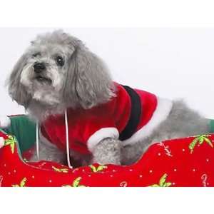  Doggie Santa Suit