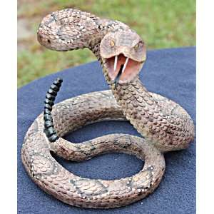  Striking Diamondback Rattlesnake Snake Statue Figurine 