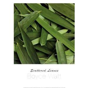   Scattered Leaves Poster by Boyce Watt (11.75 x 15.75)