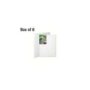 Fredrix 100 Linen Green Label Canvas   3/4 Box of 6 30x40 