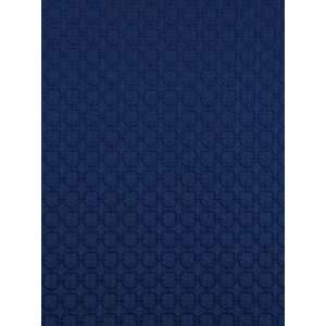  Pindler & Pindler Brice   Marine Fabric