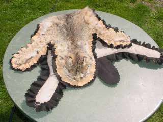 Missouri Bobcat crafted rug for lodge/log cabin decor  