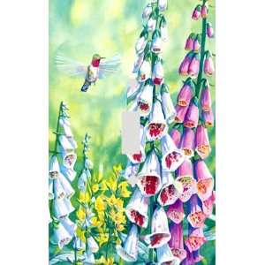  Hummingbirds Decorative Switchplate Cover
