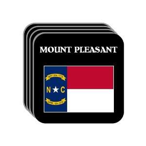  US State Flag   MOUNT PLEASANT, North Carolina (NC) Set of 