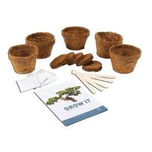  Grow It Planting Kit Grow Your Own Bonsai Trees Patio 