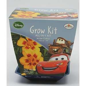  Disney Cars Grow Kit