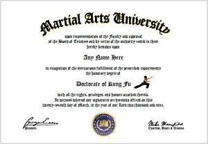 Kung Fu Diploma   Martial Arts Master Lover  