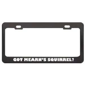 Got MearnS Squirrel? Animals Pets Black Metal License Plate Frame 
