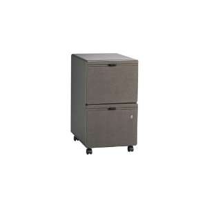  Two Drawer Lateral File Cabinet for Letter   Series A 