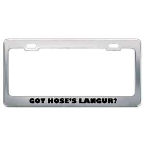  Got HoseS Langur? Animals Pets Metal License Plate Frame 