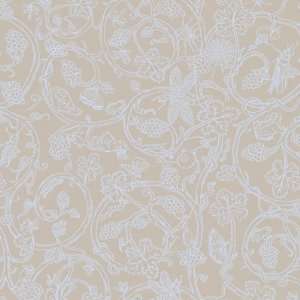  Insects CS by Cole & Son Wallpaper
