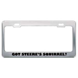 Got SteereS Squirrel? Animals Pets Metal License Plate Frame Holder 