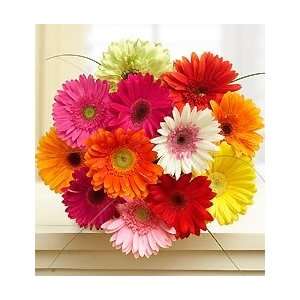 Flowers by 1800Flowers   Happy Gerbera Daisies, 12 24 Stems  
