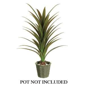  48 Dracaena Plant w/34 Lvs. Green Brown (Pack of 4)