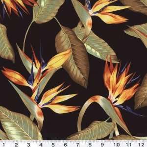  Shirting Paradise Jet Fabric By The Yard Arts, Crafts & Sewing