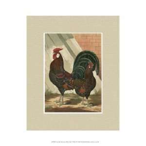  Cassells Roosters with Mat V by Cassell 10x13