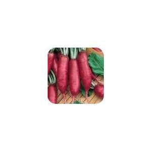  Todds Seeds   Pink Summercicle Radish Seed   10g Seed 