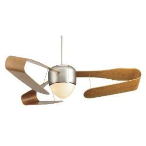 Fanimation   Centaurus   Fan Light   Satin Nickel   FP4220SN BB4220CY