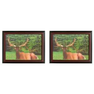    Small 3D Elk Picture in Wooden Frame Set of 2