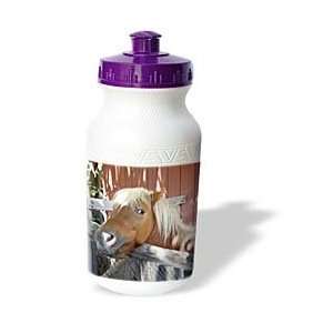  Horse   Pony   Water Bottles