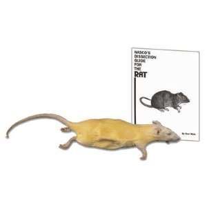 Nasco   Rat Classroom Pack Special  Industrial 