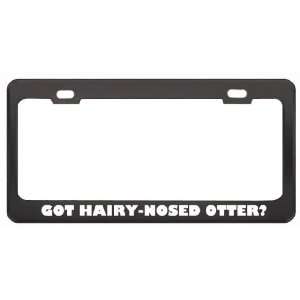 Got Hairy Nosed Otter? Animals Pets Black Metal License Plate Frame 