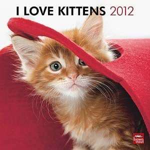  2012 Kittens Calendar