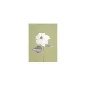  Pack of 12 Snow Drift White Frosted Poinsettia Christmas 
