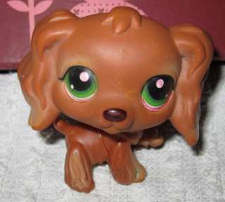   Chocolate Brown Cocker Spaniel Littlest Pet Shop Dog Green Eyes RARE