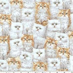  45 Wide Best Of Show Small Furry Stacked Cats Multi 