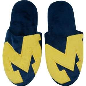    Michigan Wolverines Big Logo Slide Slipper