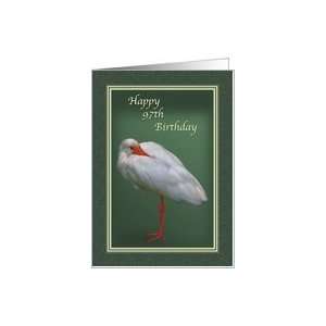  Birthday, 97th, White Ibis Bird Card Toys & Games