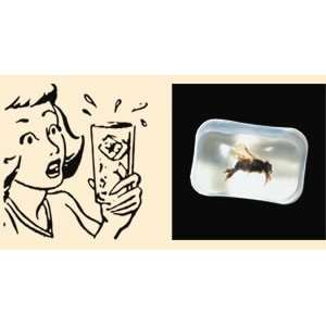  Bar Bug in Ice Cube  gag gift Toys & Games