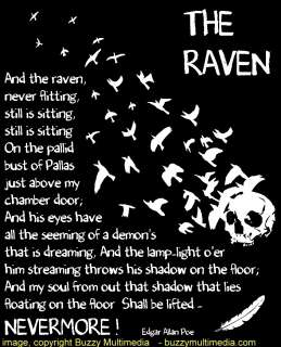 The Raven by Edgar Allan Poe, Raven T Shirt, graphic  