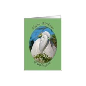   Birthday Day Card with Napping Egret Card Toys & Games