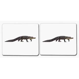  Reptiles Matching Cards (9781606290774) Maitri Learning 