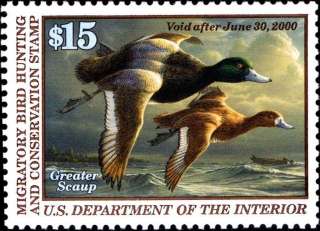 RW66 A 1999 FEDERAL DUCK STAMP Mint OGNH VF XF $35CV  LOW 