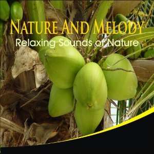  Nature And Melody Nature And Melody Music