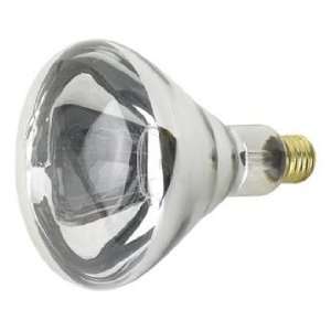  250 Watt R40 Heat Lamp Light Bulb