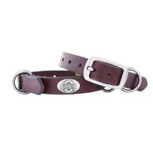 Zep Pro Ohio State Buckeyes Brown Leather Concho Dog Collar, X Small