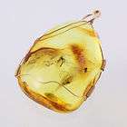 Genuine BALTIC AMBER 14K GOLD Pendant w Fossil INSECTS