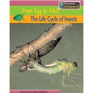  THE LIFE CYCLE OF INSECTS FROM EGG TO ADULT  FROM EGG TO 