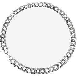 Stainless Steel Curb Chain Necklace  