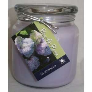  Hydrangia 16 Ounce Soy Candle