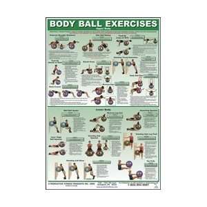 Body Ball Exercise Chart   Upper/Lower Body  Sports 