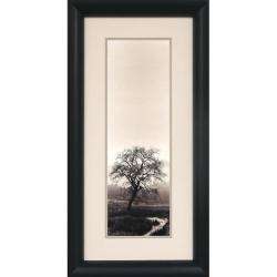 Alan Blaustein Valley Oak Tree Framed Wall Art  